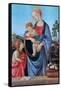 The Virgin and Child with Saint John, 1480-Filippino Lippi-Framed Stretched Canvas