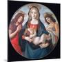 The Virgin and Child with Saint John and an Angel, C1490-Sandro Botticelli-Mounted Premium Giclee Print