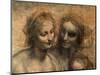 The Virgin and Child with Ss. Anne and John the Baptist, Detail of Heads of the Virgin and St. Anne-Leonardo da Vinci-Mounted Premium Giclee Print