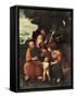 The Virgin and Child with Ss. Peter and Paul-Gian Giacomo Caprotti-Framed Stretched Canvas