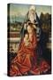 The Virgin and Child with St Anne-null-Stretched Canvas