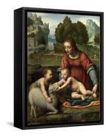 The Virgin and Child with the Infant Saint John-Bernardino Luini-Framed Stretched Canvas