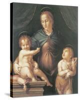 The Virgin And Child With The Young Saint John The Baptist-Pier Francesco Foschi-Stretched Canvas