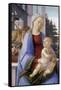 The Virgin and Child with Two Angels, 1472-1475-Filippino Lippi-Framed Stretched Canvas