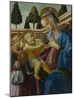 The Virgin and Child with Two Angels, C. 1467-1469-Andrea del Verrocchio-Mounted Giclee Print