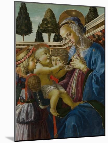 The Virgin and Child with Two Angels, C. 1467-1469-Andrea del Verrocchio-Mounted Giclee Print