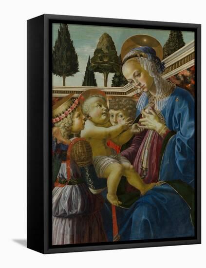 The Virgin and Child with Two Angels, C. 1467-1469-Andrea del Verrocchio-Framed Stretched Canvas