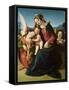 The Virgin and Child with Two Angels, C.1507 (Oil on Wood)-Piero di Cosimo-Framed Stretched Canvas