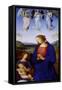 The Virgin and Child-Pietro Perugino-Framed Stretched Canvas