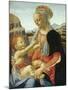 The Virgin and Child-Andrea del Verrocchio-Mounted Giclee Print