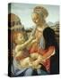 The Virgin and Child-Andrea del Verrocchio-Stretched Canvas