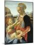 The Virgin and Child-Andrea del Verrocchio-Mounted Giclee Print