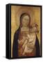 The Virgin and Child-Bernardo Daddi-Framed Stretched Canvas