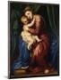 The Virgin and Child-Titian (Tiziano Vecelli)-Mounted Giclee Print