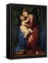 The Virgin and Child-Titian (Tiziano Vecelli)-Framed Stretched Canvas