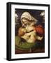 The Virgin and Green Cushion, 1507-10-Andrea Solario-Framed Giclee Print