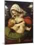 The Virgin and Green Cushion, 1507-10-Andrea Solario-Mounted Giclee Print