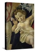 The Virgin and the Infant Surrounded by Angels-Sandro Botticelli-Stretched Canvas