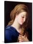 The Virgin Annunciate-Pompeo Batoni-Stretched Canvas