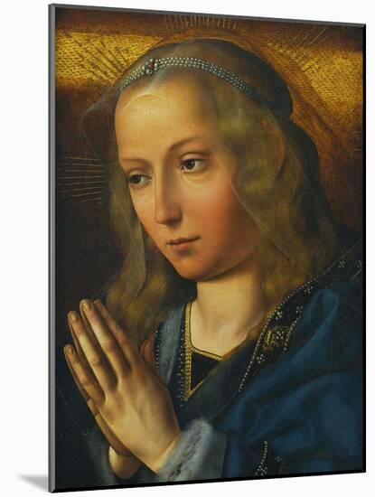 The Virgin at Prayer-Quentin Massys-Mounted Giclee Print