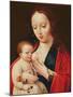 The Virgin Breastfeeding the Infant Christ-Joos Van Cleve-Mounted Giclee Print