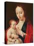 The Virgin Breastfeeding the Infant Christ-Joos Van Cleve-Stretched Canvas