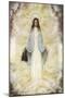 The Virgin Mary as Supposedly Seen by the Visionaries at Garabandal, Northern Spain-null-Mounted Art Print