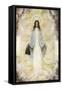 The Virgin Mary as Supposedly Seen by the Visionaries at Garabandal, Northern Spain-null-Framed Stretched Canvas