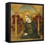 The Virgin Mary in the Rosegarden; Jungfru Maria I Rosengard-Albert Edelfelt-Framed Stretched Canvas