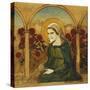The Virgin Mary in the Rosegarden; Jungfru Maria I Rosengard-Albert Edelfelt-Stretched Canvas