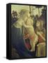 The Virgin Mary with Infant Christ and John-Sandro Botticelli-Framed Stretched Canvas