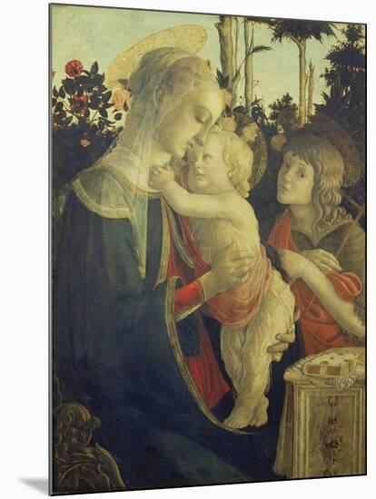 The Virgin Mary with Infant Christ and John-Sandro Botticelli-Mounted Giclee Print