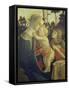 The Virgin Mary with Infant Christ and John-Sandro Botticelli-Framed Stretched Canvas