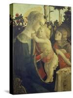 The Virgin Mary with Infant Christ and John-Sandro Botticelli-Stretched Canvas