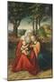 The Virgin Mary with Saint Anne Holding the Infant Jesus-Lucas Cranach the Elder-Mounted Giclee Print