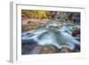 The Virgin Narrows, Wide View, Zion-Vincent James-Framed Photographic Print