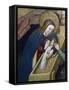 The Virgin Nursing Jesus-null-Framed Stretched Canvas
