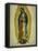 The Virgin of Guadaloupe, 1766-Miguel Cabrera-Framed Stretched Canvas