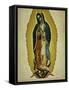 The Virgin of Guadaloupe, 1766-Miguel Cabrera-Framed Stretched Canvas