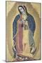 The Virgin of Guadalupe, 18th Century, Santo Domingo Church, Oaxaca, Mexico-null-Mounted Giclee Print