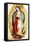 The Virgin of Guadalupe, Museo de America, Madrid, Spain-Miguel Cabrera-Framed Stretched Canvas