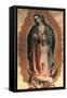 The Virgin Of Guadalupe-Miguel Hidalgo-Framed Stretched Canvas