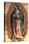 The Virgin Of Guadalupe-Miguel Hidalgo-Stretched Canvas