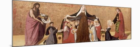 The Virgin of Mercy of the Cadard Family, 1453-Enguerrand Quarton-Mounted Premium Giclee Print