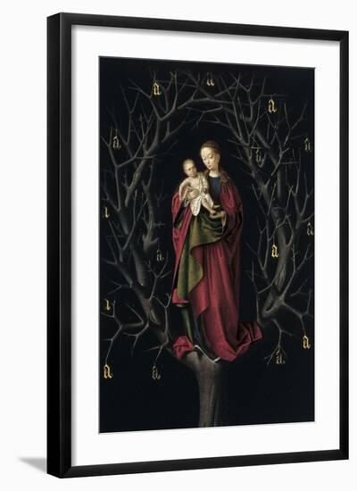 The Virgin of the Dry Tree, Ca 1465-Petrus Christus-Framed Giclee Print