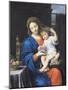 The Virgin of the Grapes, 1640-50-Pierre Mignard-Mounted Giclee Print