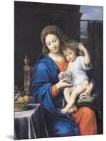 The Virgin of the Grapes, 1640-50-Pierre Mignard-Mounted Giclee Print