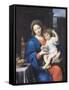 The Virgin of the Grapes, 1640-50-Pierre Mignard-Framed Stretched Canvas