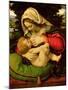 The Virgin of the Green Cushion, 1507-10-Andrea Solario-Mounted Giclee Print