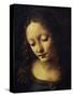 The Virgin of the Rocks Detail of Virgin-Leonardo da Vinci-Stretched Canvas